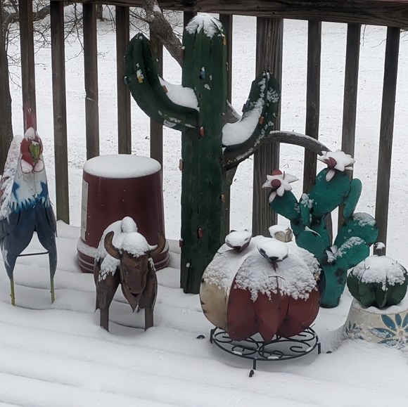 Meet your Posher, Sherry - Picture 11 of 16